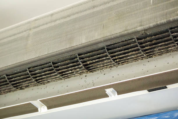 Best Local Air Duct Cleaning Services  in Hawley, PA